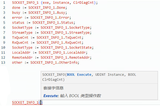 SOCKET_INFO 结构化文本示例