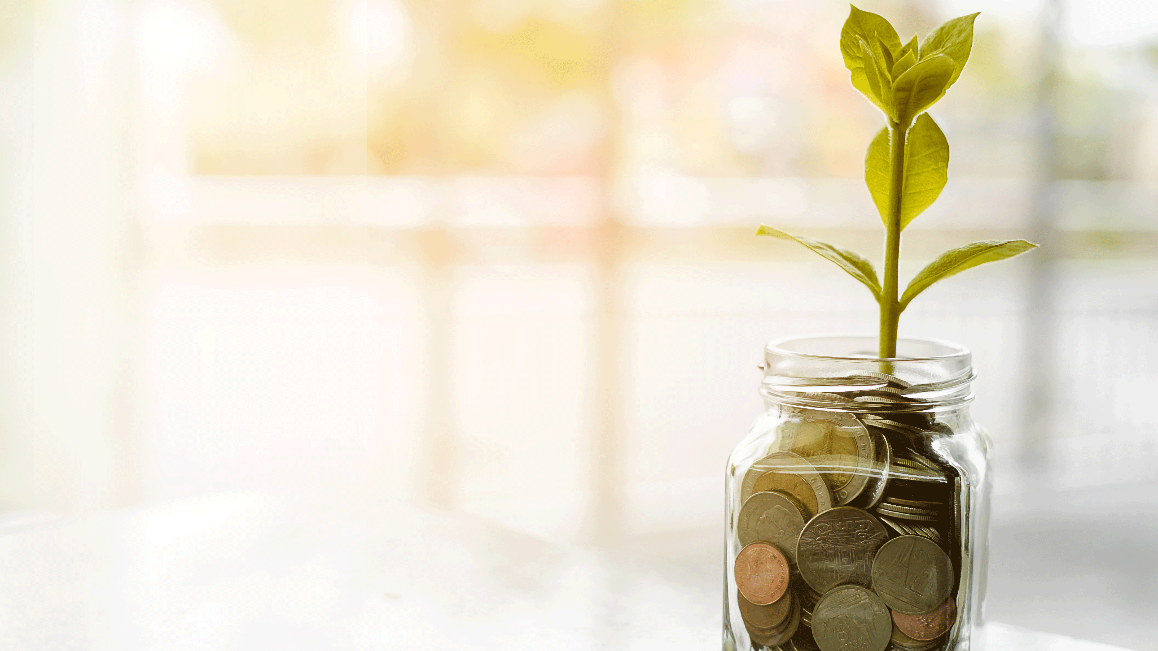 Three Areas to Focus on in the Sustainability Era